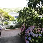 Guest House Radovic